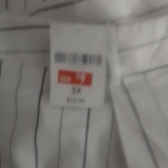 Women's shorts - Picture 4 of 4